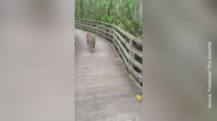 A sa place, quelle aurait été votre réaction