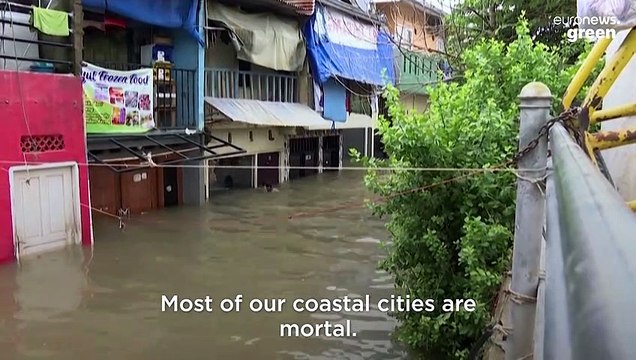 Coastal cities on the 'frontline' of the climate crisis could sink below the waves by 2050