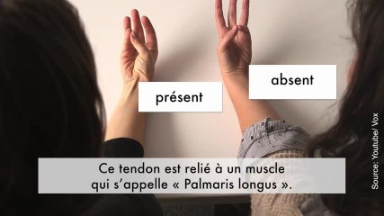 Et si nous n’étions pas si différents des animaux