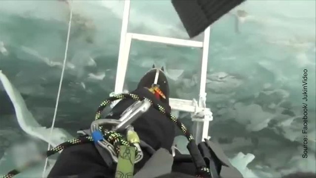 Attention, cette vidéo va vous donner la chair de poule !