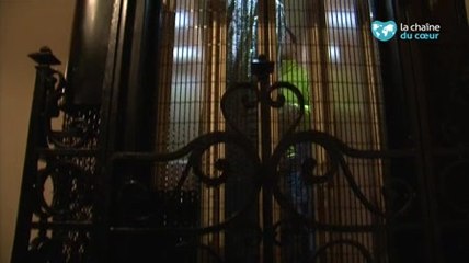 Treezmas : un Noël écolo et un sapin qui ne perd pas ses épines