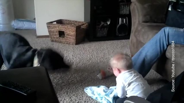 Face à ce chien, ce bébé a un énorme fou rire ! (Vidéo)