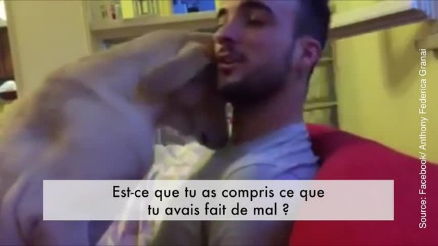 Ce petit chien essaye tant bien que mal de se faire pardonner