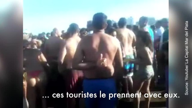 Cette vidéo est tout juste affligeante !