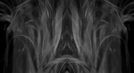 Défilé Charlie Le Mindu Automne-Hiver 2014/2015