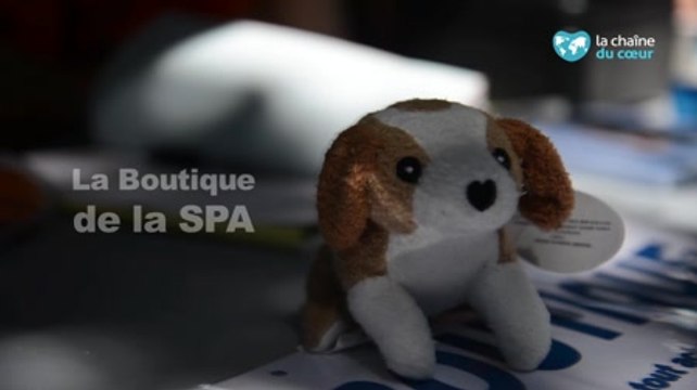 La boutique de la SPA : des bénéfices au profit des animaux