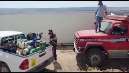 Telef olan binlerce tavuk çukura gömüldü