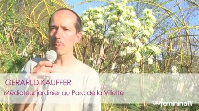Atelier jardinage enfants : l'atelier jardinage enfants en vidéo