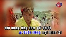 LK Nỗi Buồn Hoa Phượng - Đàm Vĩnh Hưng ft Phi Nhung