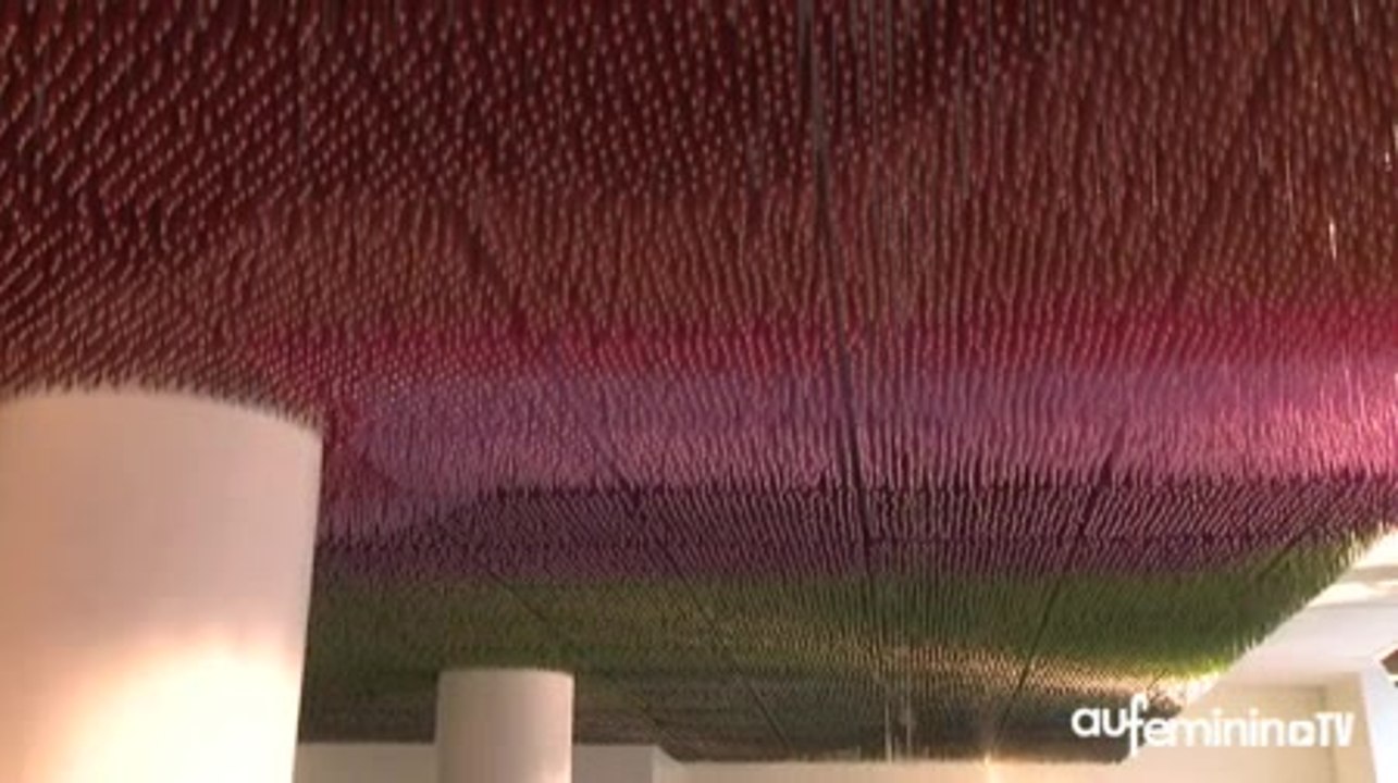 ECSCP : les travaux de fin d'année des élèves de l'ECSCP