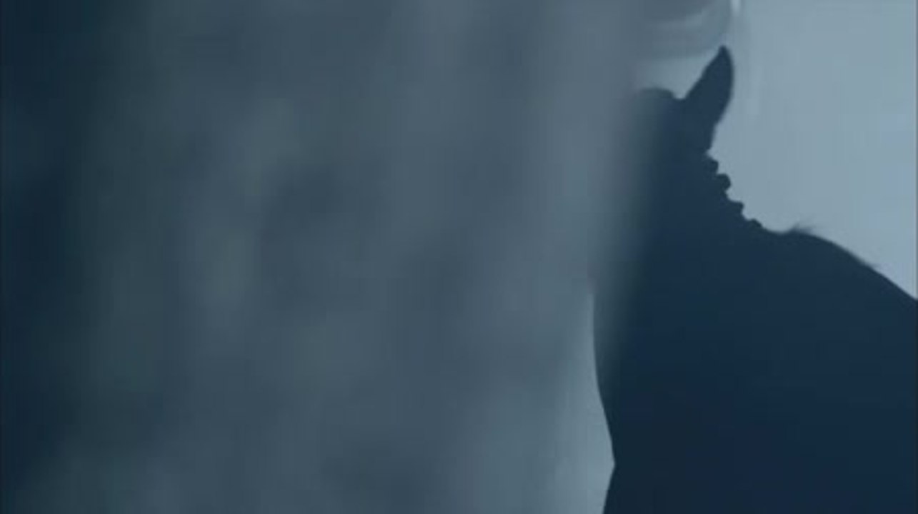 Film avant-première du Prix de Diane 2012 : Courses hippiques