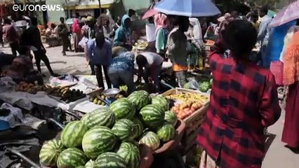 Asesinan a una cooperante española de MSF en la región etíope de Tigray