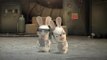 Publicité Renault : Les tests des lapins crétins dans les pubs Renault
