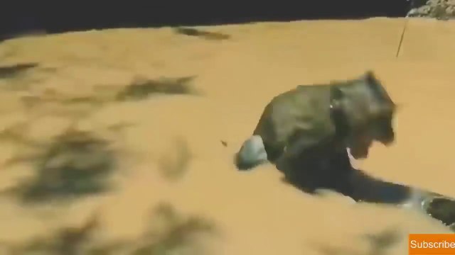 Why Do Monkeys Hate Python So Much Classic Battle Between Python vs Monkey Python vs Monkey