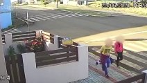 Vídeo flagra casal atirando cachorro em quintal no Oeste de SC