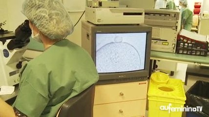 ICSI : comment se déroule une ICSI