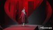 Haute Couture PE 2011 à Paris : le défilé Dior en vidéo