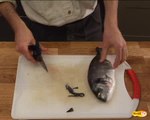 Comment lever les filets d'un poisson plat type daurade 