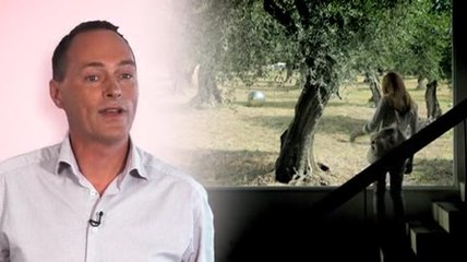 Christophe de la Taillade sur Womanity