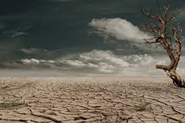 6 Foods That Are Making Droughts Worse