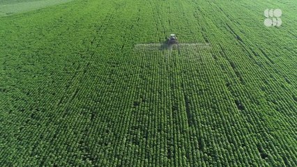 Why Insects May Just Be the Food of the Future