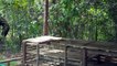 Build Primitive Kitchen For My Bamboo Villa, Live Off Grid