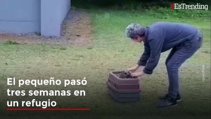 ¡Ternura total! Este monito recibió un gran abrazo de su familia tras ser liberado