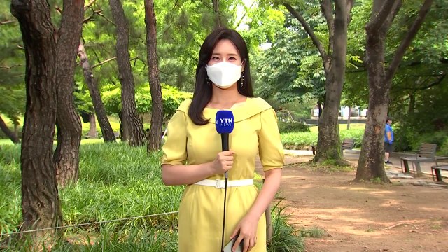 [날씨] 주말 전국 곳곳 비...오후 국지적 강한 비구름 발달 / YTN