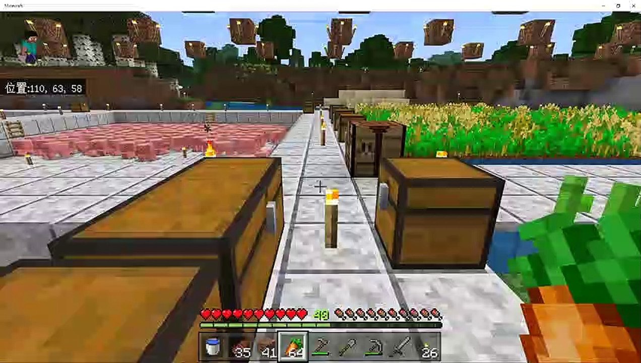Minecraft_210626 (1)