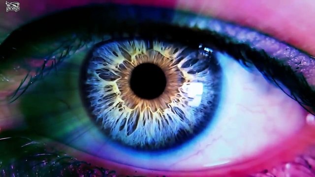 ভবিষ্যতের মানুষ দেখতে ঠিক এরকম হবে! Future Human Body_HD