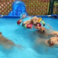 Funniest & Cutest Golden Retriever Puppies #32 - Funny Puppy Videos 2019