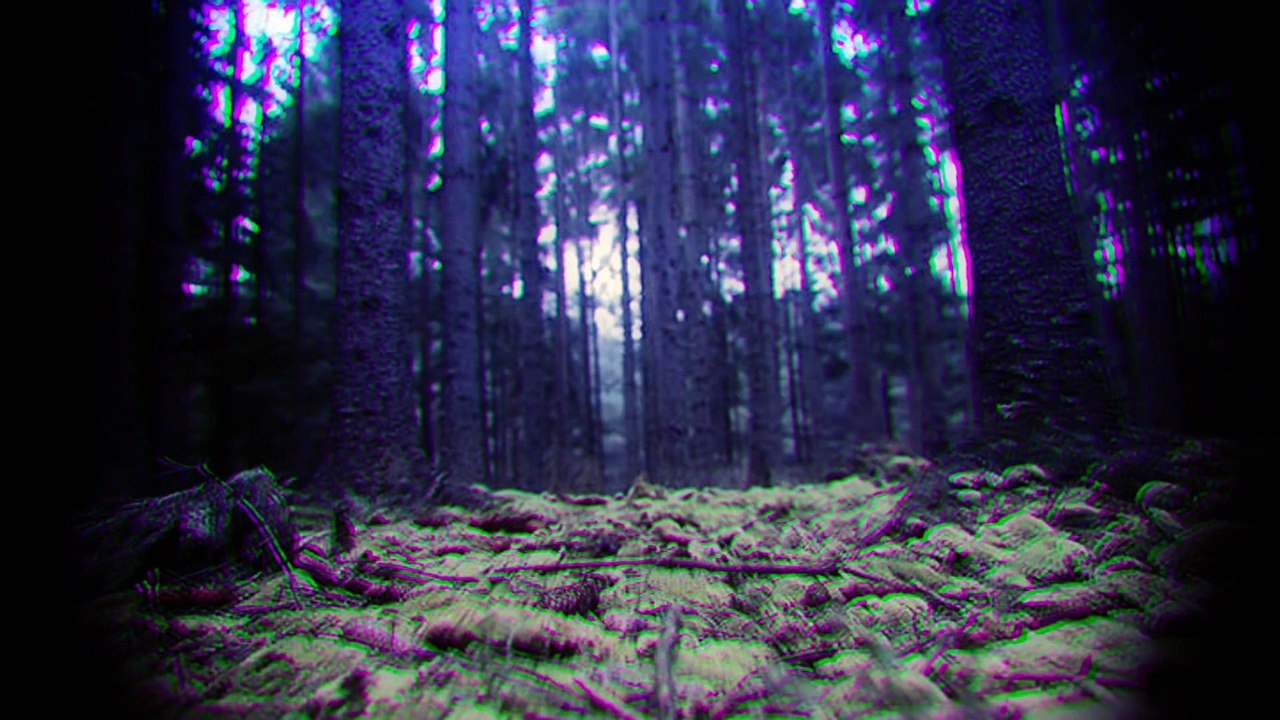 Las 5 Fotografías Más Escalofriantes Encontradas En Cámaras Abandonadas