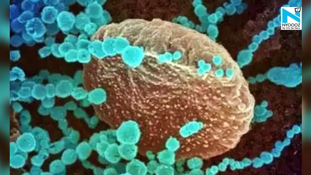 Maharashtra tightens COVID curbs amid rising Delta Plus cases