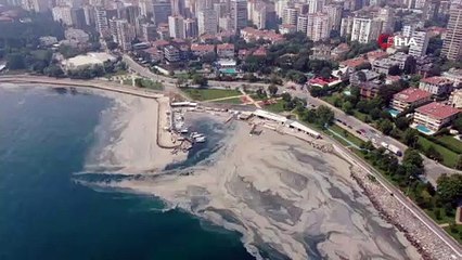 İstanbul'da deniz salyası istilası devam ediyor
