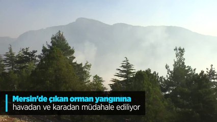 Download Video: Mersin'de çıkan orman yangınına havadan ve karadan müdahale ediliyor