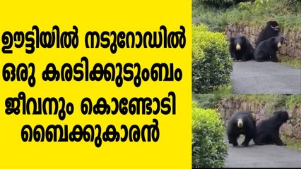 Anand Mahindra Shares Video of Bear Charging at Bikers, Cheeky Caption Wins Internet