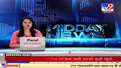 This Monsoon, Bottle umbrellas become centre of attraction , Surat _ Tv9GujaratiNews