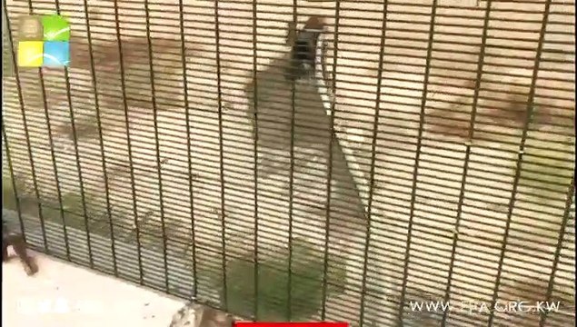 البيئة تخالف إحدى الشركات لتصريفها مخلّفات سائلة في البيئة البرية