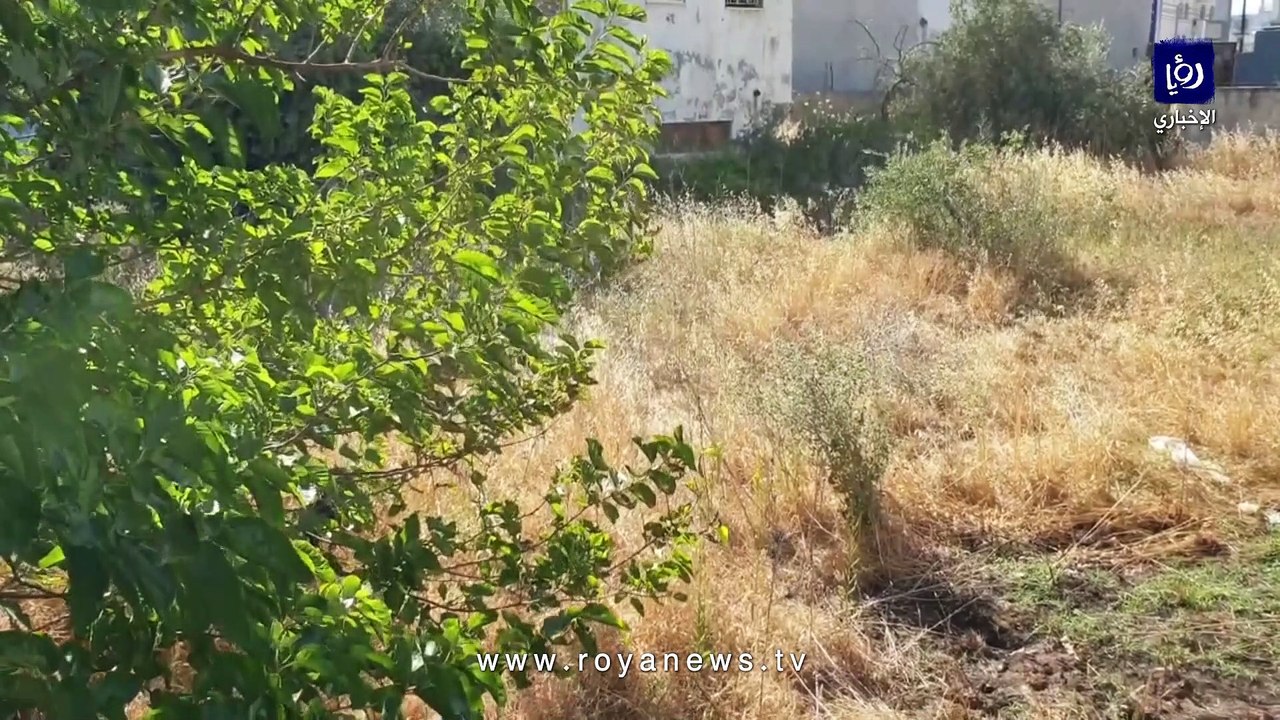 ما حقيقة منزل مسكون بـ"الجن والأشباح" في مدينة اربد؟