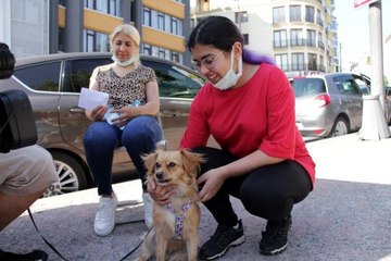 YKS'YE KÖPEĞİYLE GELDİ; SON ANA KADAR YANINDAN AYRILMADI