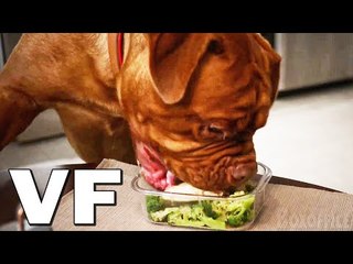TURNER & HOOCH Bande Annonce VF (2021) Disney+