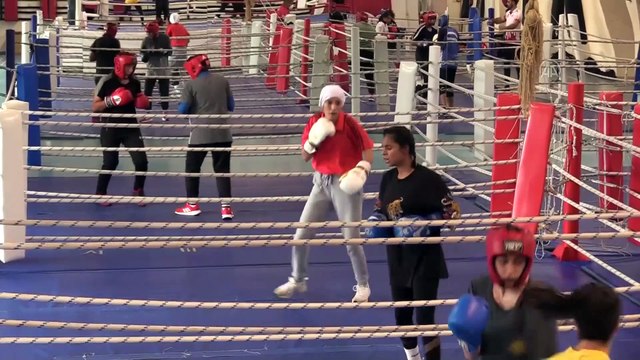 KASTAMONU - Yıldız Kadın Boks Milli Takımı'nın kampı devam ediyor