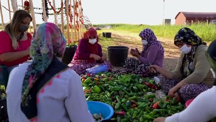 GAZİANTEP - Varank: 'Tüm bu tesislerle Türkiye'nin gücüne güç katmaya devam edeceğiz'