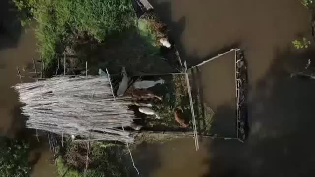 Casi medio millón de personas afectadas en la Amazonía brasileña por inundaciones