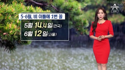 [날씨]내일도 소나기…30도 안팎 더위