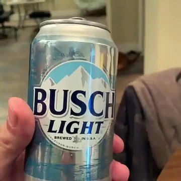 Le chien parfait pour les matchs de foot : il emmène les bières et remporte les vides