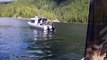 Ce bébé phoque saute dans un bateau pour échapper à une orque