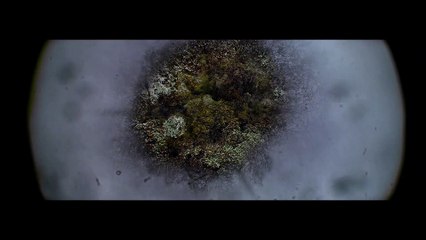 Superdeep Film Trailer