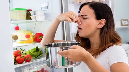 Corona काल में Fridge में Milk रखते वक्त ना करें ये गलती, पनप सकता है Bacteria | Boldsky