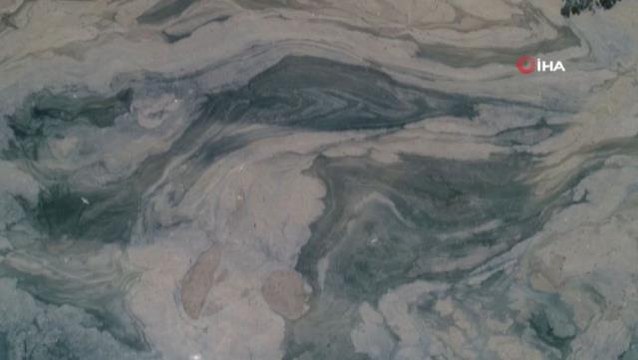 Marmara'da deniz salyası istilası